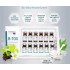 Matrigen B-TOX PROFESSIONAL -Peeling ONLY Korea - 12 pcs/1 box